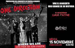 Proyección de Concierto: One Direction en Mérida